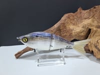 Image 4 of Sanger Custom Lures- Slim Shad  colorway #11