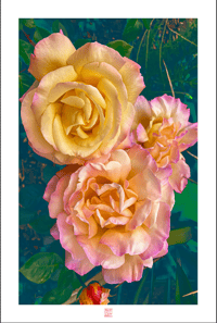 Image 1 of UPRIGHT MOTHER'S DAY FLOWERS (36X24)