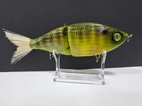 Image 4 of Sanger Custom Lures -Slim Shad colorway #36