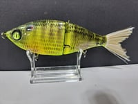 Image 5 of Sanger Custom Lures -Slim Shad colorway #36