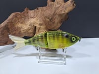 Image 1 of Sanger Custom Lures -Slim Shad colorway #36