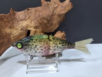 Image 5 of Sanger Custom Lures- Slim Shad colorway #22