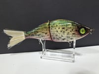 Image 2 of Sanger Custom Lures- Slim Shad colorway #22