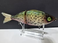 Image 3 of Sanger Custom Lures- Slim Shad colorway #22