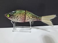 Image 4 of Sanger Custom Lures- Slim Shad colorway #22
