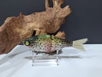 Image 1 of Sanger Custom Lures- Slim Shad colorway #22