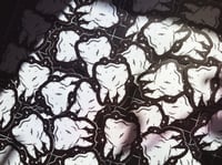 Image 2 of TOOTH Mini Sticker