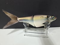 Image 5 of Biggs Custom Baits- Minnow Threadfin  