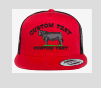 Image 5 of Toros Personalizado/Custom Text Snapback hat