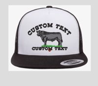 Image 6 of Toros Personalizado/Custom Text Snapback hat