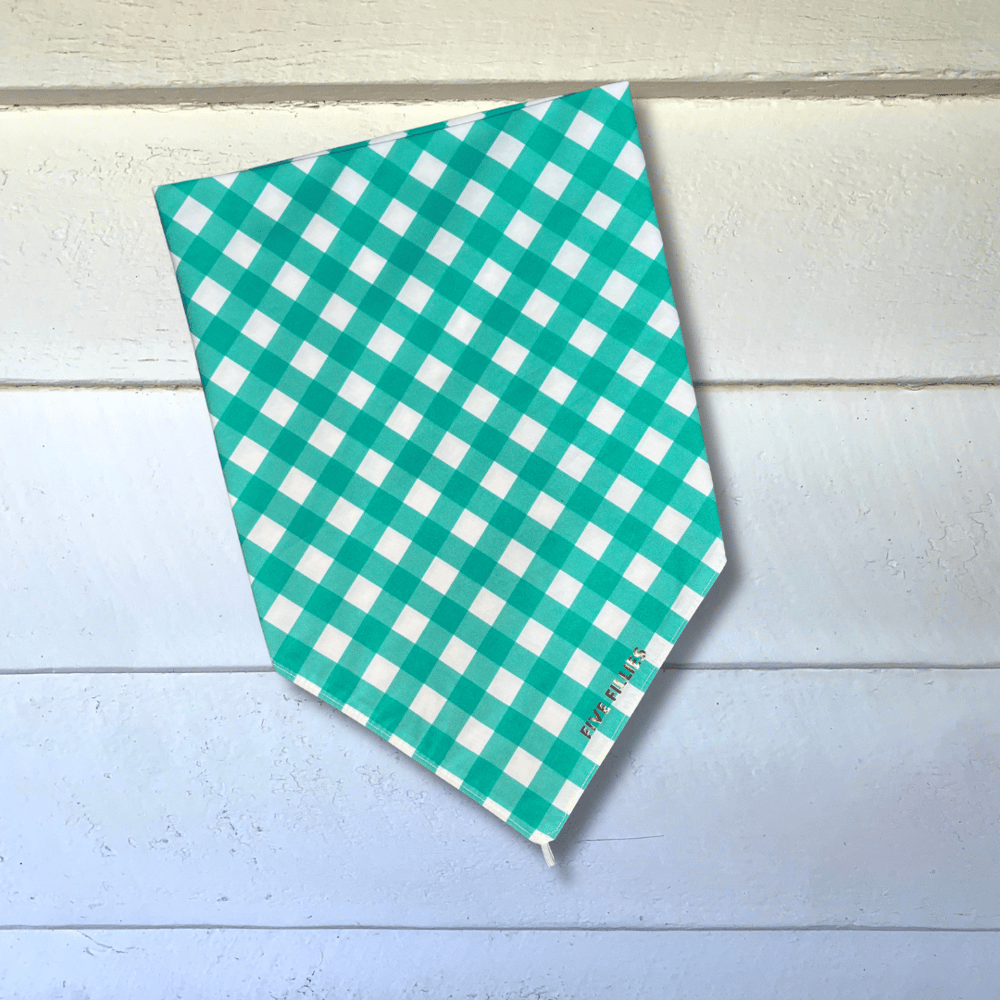 Image of Seafoam Gingham Scarf