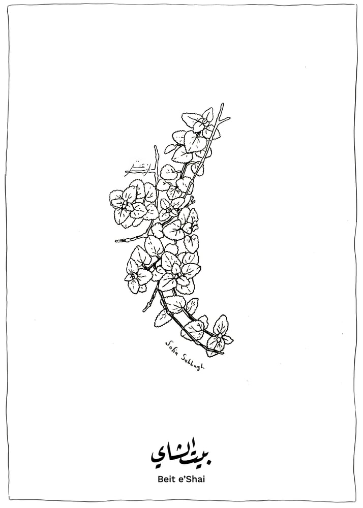 Image of Zaatar Tea Towel