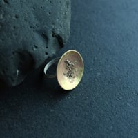 Image 3 of Mermaid Rock Pools Silver and Brass Ring