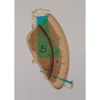 Image 2 of Sea China Number 5 (A2)