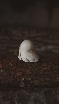 Image 4 of Mini Ghosts