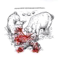 Pigs - Print