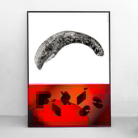 Image 1 of Pixies – Doggerel (A1)