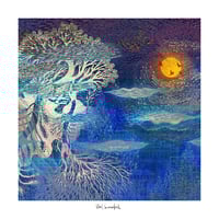 Image 1 of Nightfall winds playfully weave nature