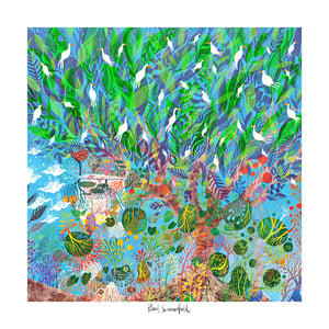 Giant Figtree