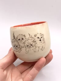 Image 1 of the council has decided lil cup