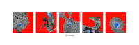 Image 1 of Portal Landscapes