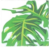 #173 Monstera 