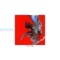 Image 2 of Portal Landscapes
