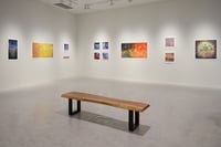 Image 3 of Portal Landscapes
