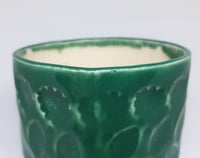 Image 3 of evergreen pot