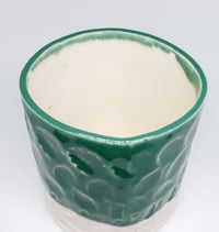 Image 5 of evergreen pot