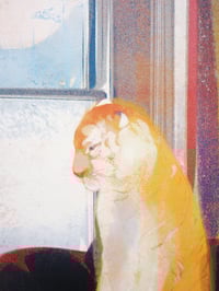 Image 3 of Dartmoor Tiger A2 Screenprint