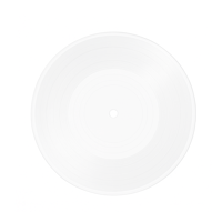 Image 2 of 10" Dubplate