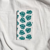 Image 3 of Monstera Deliciosa