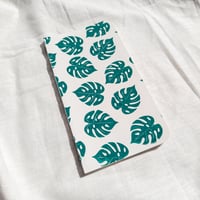 Image 1 of Monstera Deliciosa