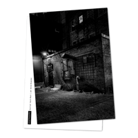 Carte postale premium Québec -un bar la nuit à Saint-Roch | PostKarte