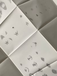 Image 4 of Abstract Specific | Specific Abstract by Benjamin Meyer-Krahmer & Daniel Steegmann Mangrané