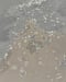 Image of Faded