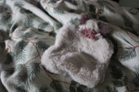 Image 3 of Kitty Fidget Friend 🐱🩷