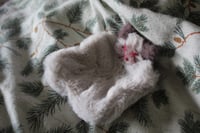 Image 1 of Kitty Fidget Friend 🐱🩷