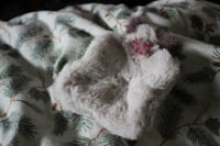 Image 2 of Kitty Fidget Friend 🐱🩷