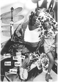 Don’t Bite The Hand That Feeds Collage