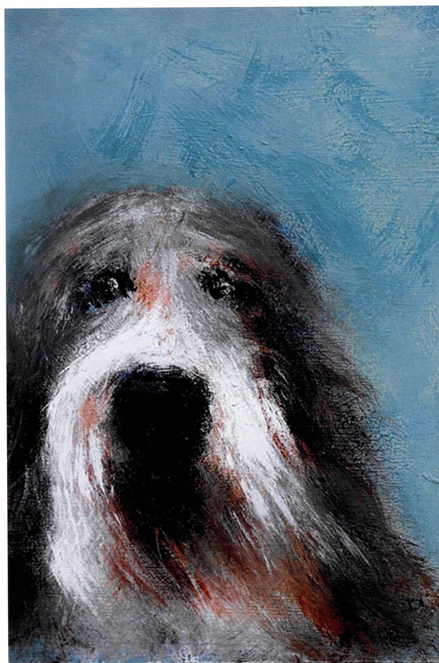 Shep [4x6 note cards]