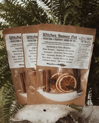 Protection & Prosperity Simmer Pot Kit