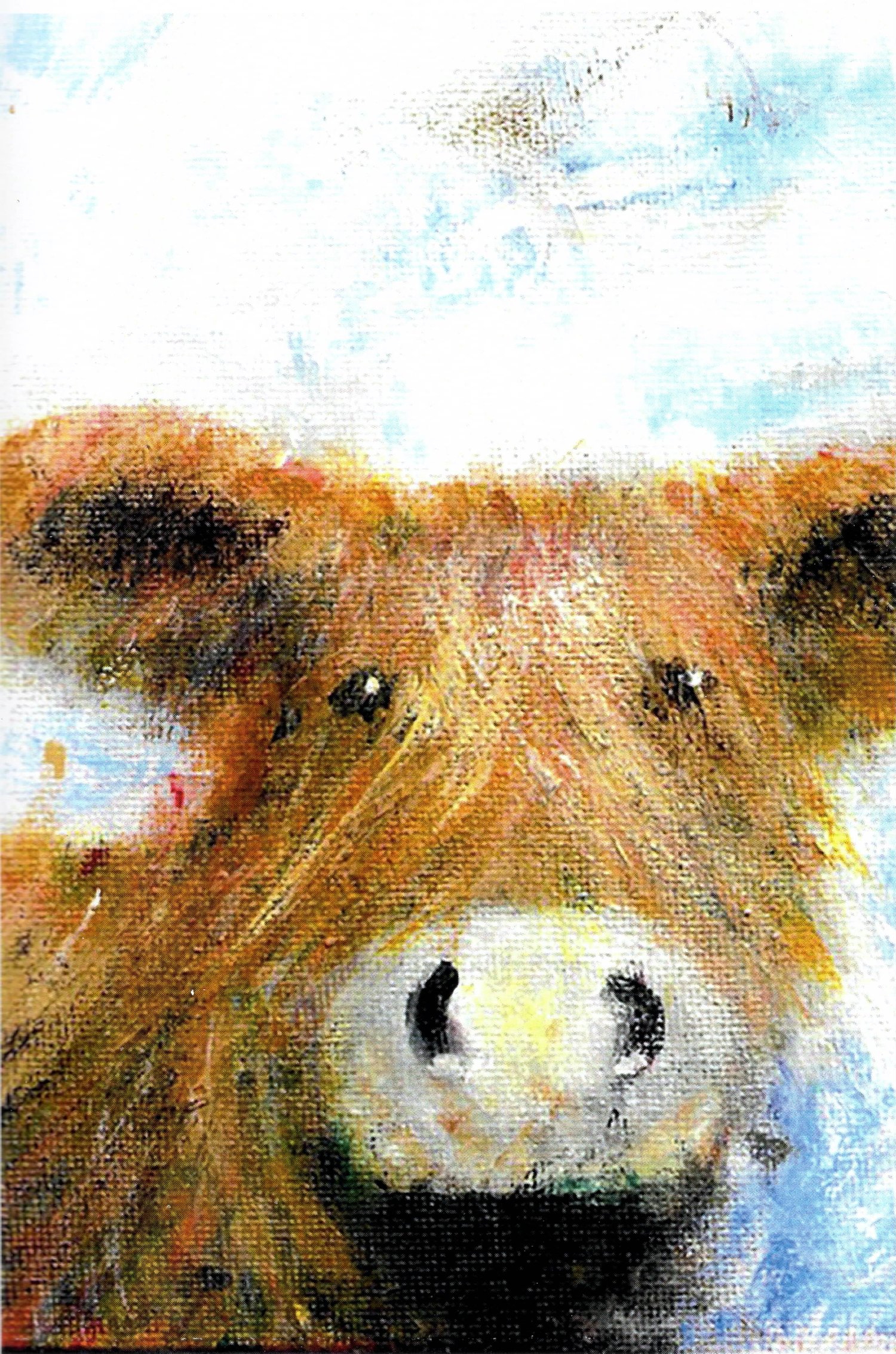 Highlander [4x6 note cards]