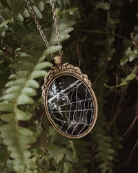 Image 1 of Real Preserved Spider Web Necklace (Large)