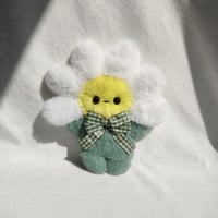 Image 1 of Daisy 