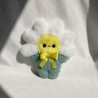 Image 2 of Daisy 