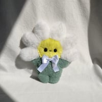Image 3 of Daisy 