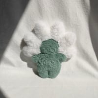Image 4 of Daisy 