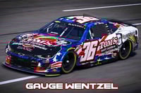 Image 4 of Gauge Wentzel